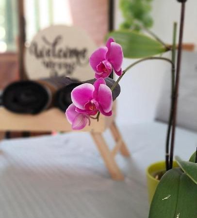 Moradia Laureles Medellin Daire Dış mekan fotoğraf
